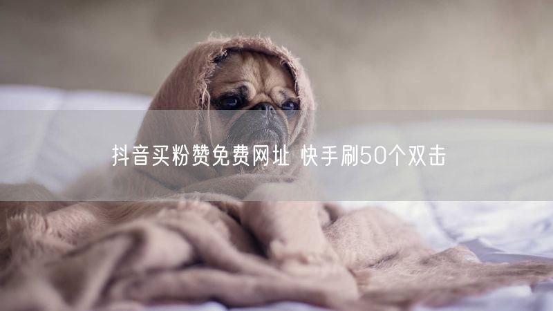 抖音买粉赞免费网址 快手刷50个双击