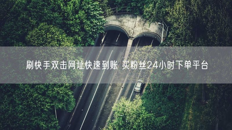 刷快手双击网址快速到账 买粉丝24小时下单平台