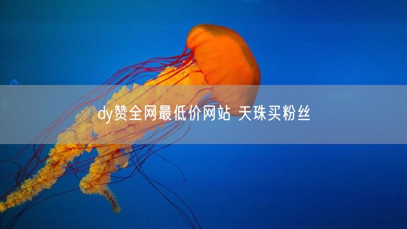 dy赞全网最低价网站 天珠买粉丝