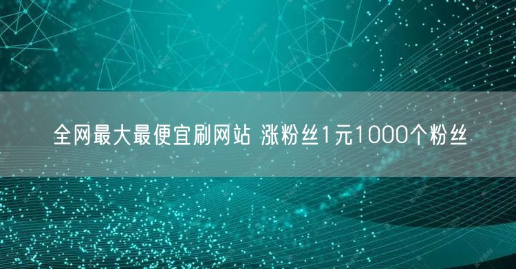 全网最大最便宜刷网站 涨粉丝1元1000个粉丝