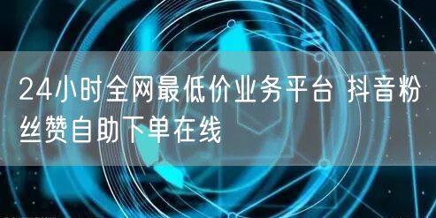 24小时全网最低价业务平台 抖音粉丝赞自助下单在线
