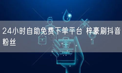 24小时自助免费下单平台 梓豪刷抖音粉丝