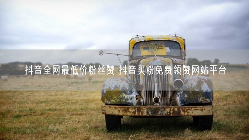 抖音全网最低价粉丝赞 抖音买粉免费领赞网站平台