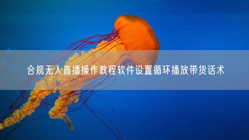 合规无人直播操作教程软件设置循环播放带货话术
