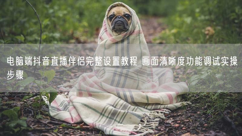 电脑端抖音直播伴侣完整设置教程 画面清晰度功能调试实操步骤