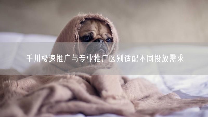 千川极速推广与专业推广区别适配不同投放需求