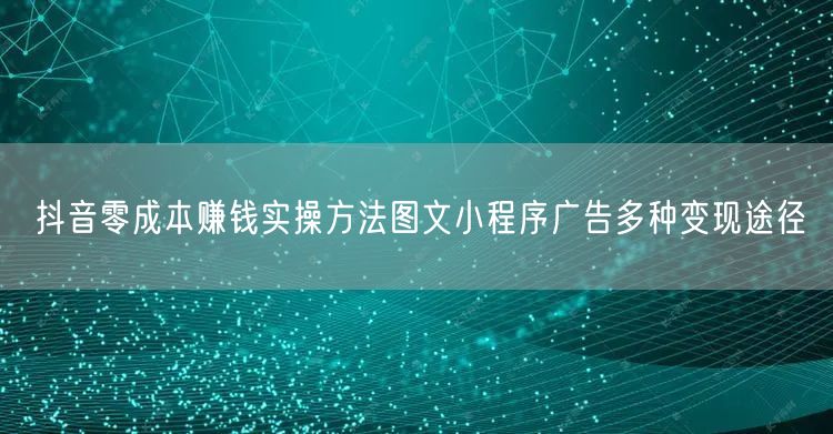 抖音零成本赚钱实操方法图文小程序广告多种变现途径