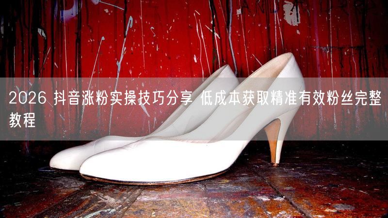 2026 抖音涨粉实操技巧分享 低成本获取精准有效粉丝完整教程