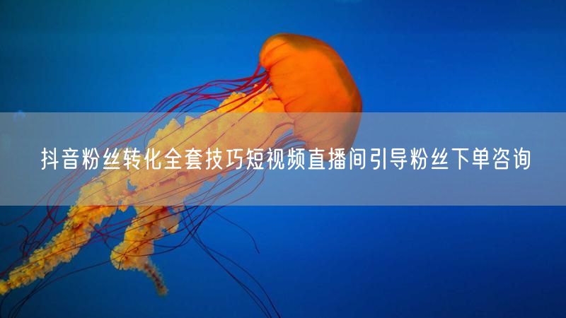 抖音粉丝转化全套技巧短视频直播间引导粉丝下单咨询