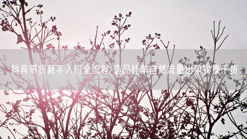 抖音带货新手入门全流程 选品挂车自然流量出单实操干货