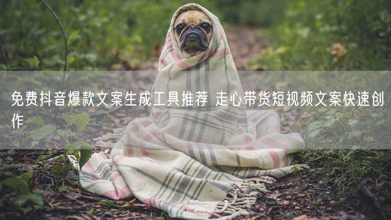 免费抖音爆款文案生成工具推荐 走心带货短视频文案快速创作