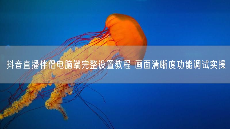 抖音直播伴侣电脑端完整设置教程 画面清晰度功能调试实操