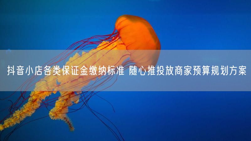 抖音小店各类保证金缴纳标准 随心推投放商家预算规划方案
