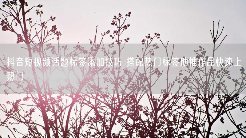 抖音短视频话题标签添加技巧 搭配热门标签助推作品快速上热门