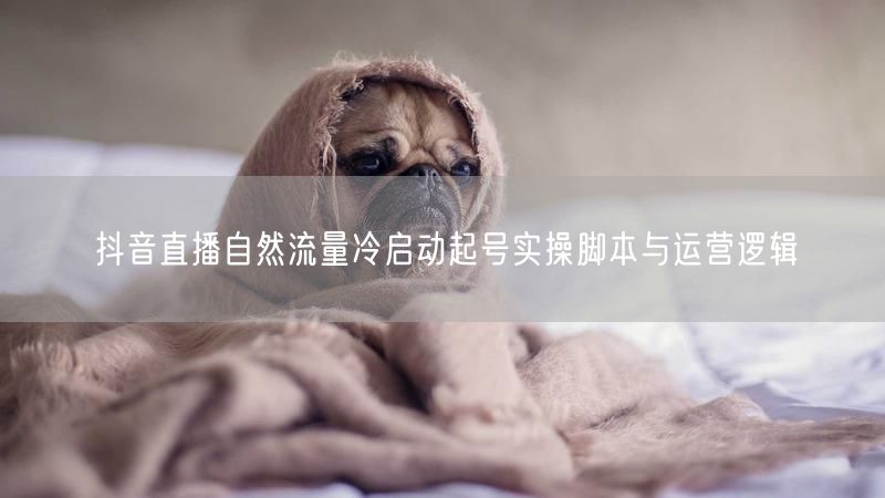 抖音直播自然流量冷启动起号实操脚本与运营逻辑
