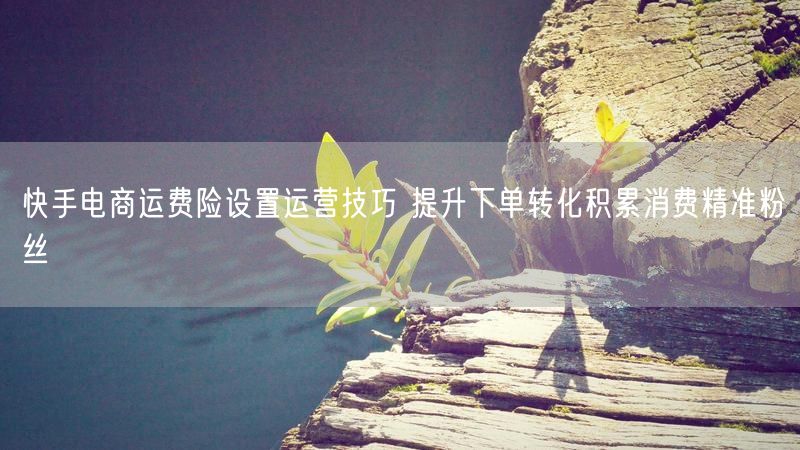 快手电商运费险设置运营技巧 提升下单转化积累消费精准粉丝