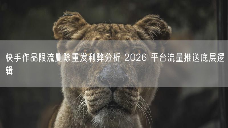 快手作品限流删除重发利弊分析 2026 平台流量推送底层逻辑