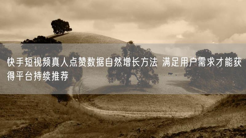 快手短视频真人点赞数据自然增长方法 满足用户需求才能获得平台持续推荐