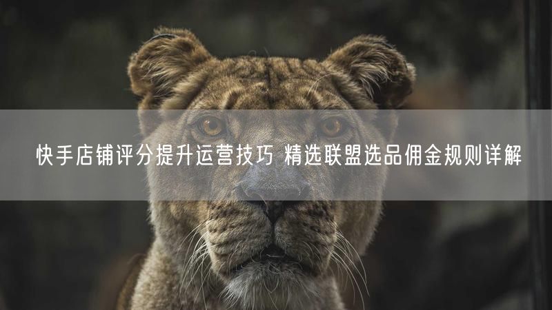 快手店铺评分提升运营技巧 精选联盟选品佣金规则详解