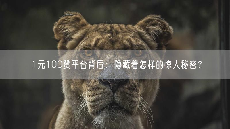 1元100赞平台揭秘：网络黑产与数据造假真相