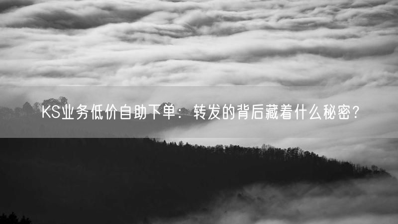 KS业务低价自助下单：揭秘转发背后的数据造假真相