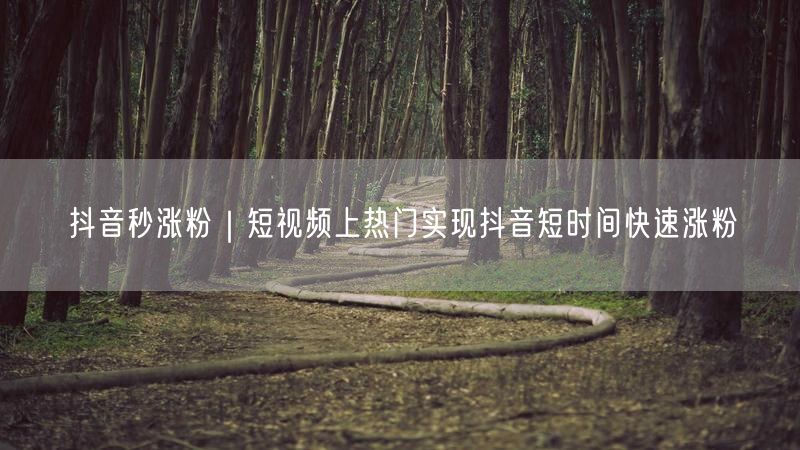 抖音秒涨粉|短视频上热门实现抖音短时间快速涨粉