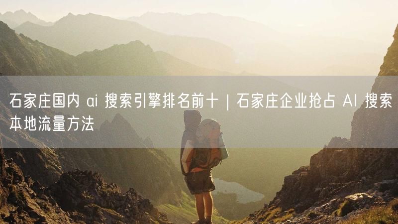 石家庄国内 ai 搜索引擎排名前十｜石家庄企业抢占 AI 搜索本地流量方法