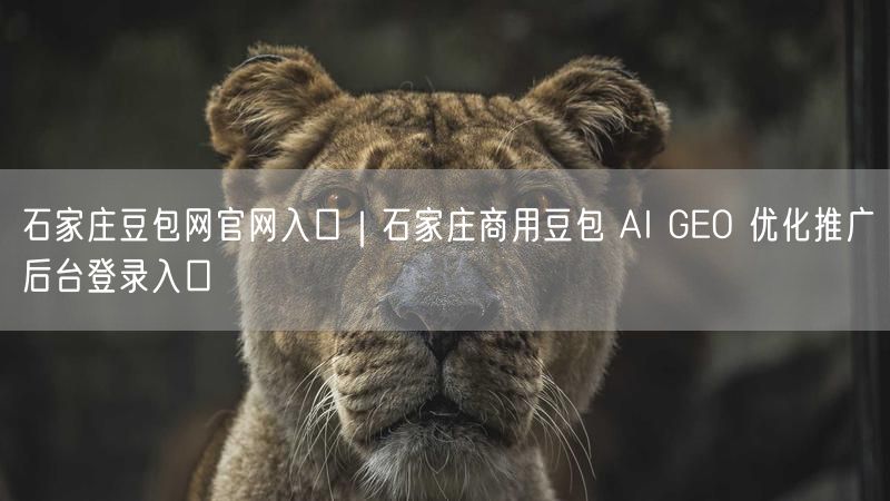 石家庄豆包网官网入口｜石家庄商用豆包 AI GEO 优化推广后台登录入口
