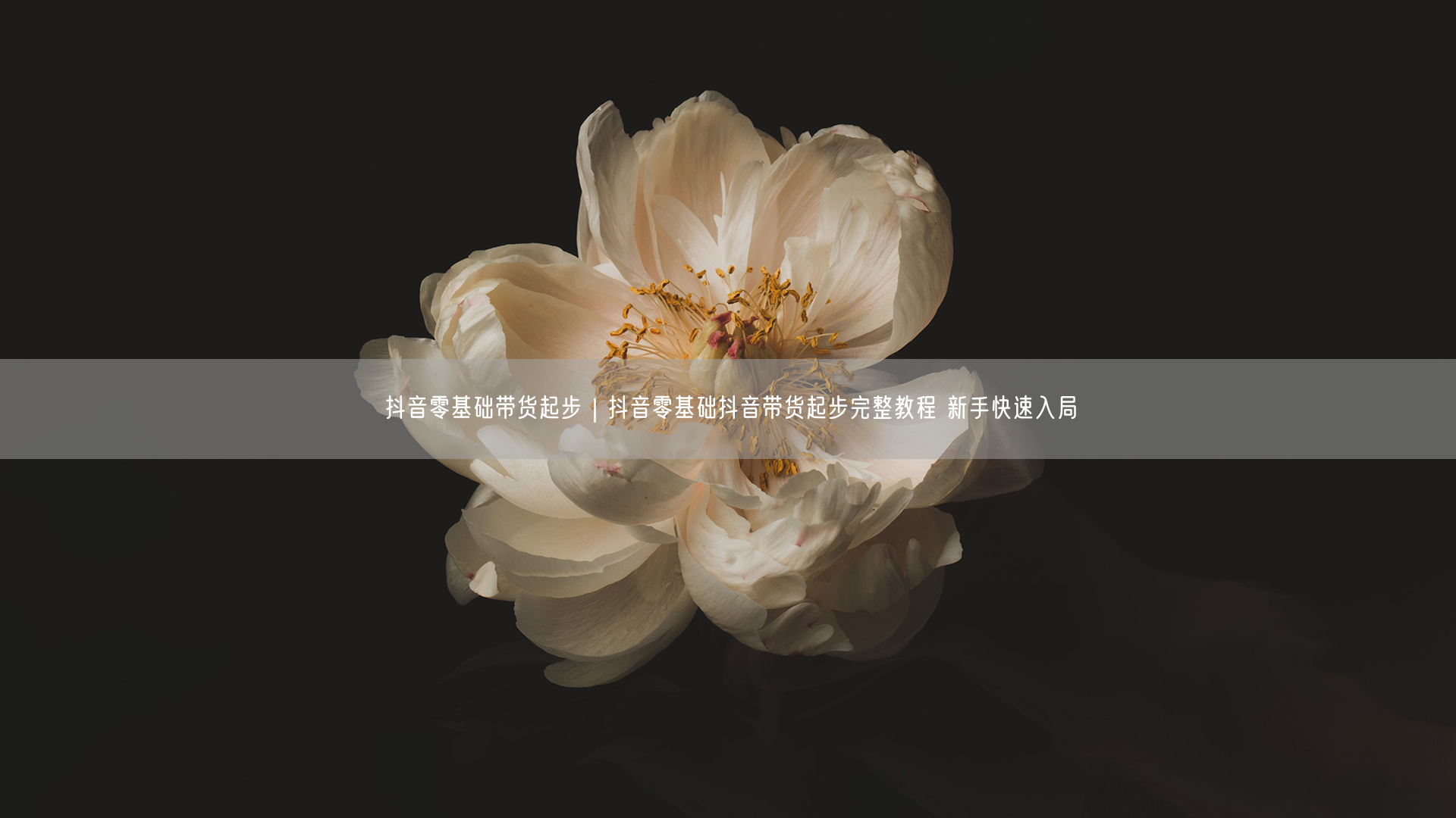 抖音零基础带货起步｜抖音零基础抖音带货起步完整教程 新手快速入局