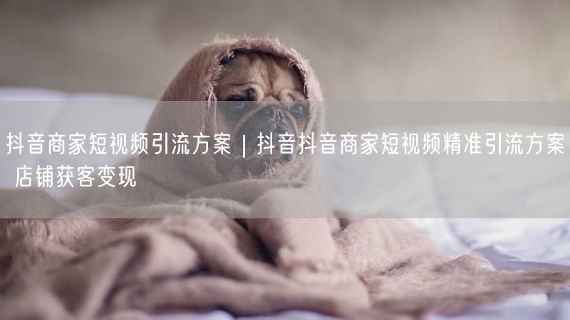 抖音商家短视频引流方案｜抖音抖音商家短视频精准引流方案 店铺获客变现