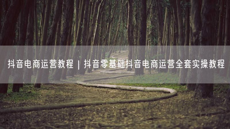 抖音电商运营教程｜抖音零基础抖音电商运营全套实操教程