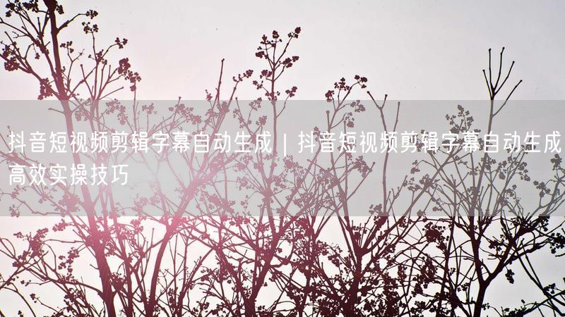抖音短视频剪辑字幕自动生成｜抖音短视频剪辑字幕自动生成高效实操技巧