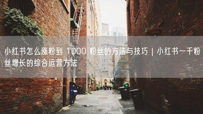 小红书怎么涨粉到 1000 粉丝的方法与技巧｜小红书一千粉丝增长的综合运营方法