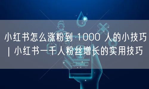 小红书怎么涨粉到 1000 人的小技巧｜小红书一千人粉丝增长的实用技巧