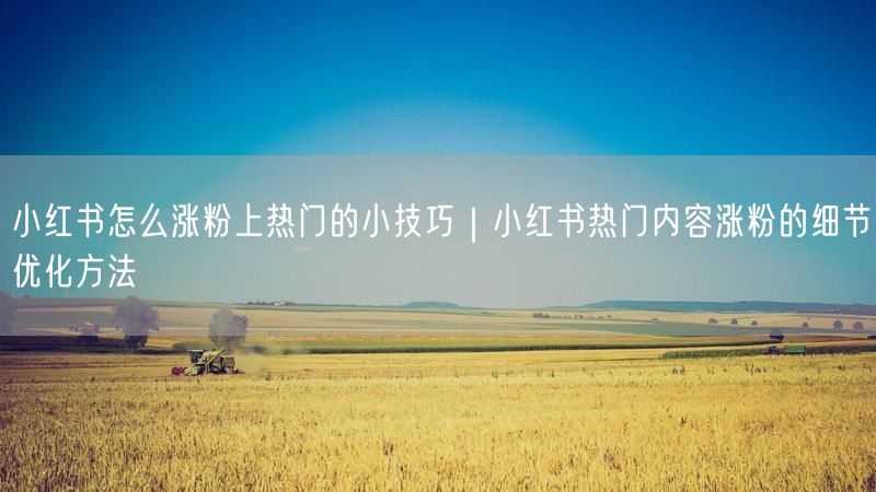 小红书怎么涨粉上热门的小技巧｜小红书热门内容涨粉的细节优化方法