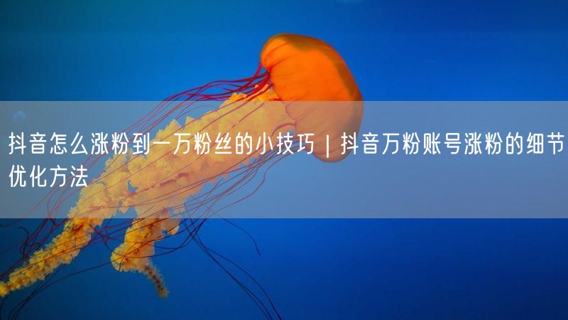 抖音怎么涨粉到一万粉丝的小技巧｜抖音万粉账号涨粉的细节优化方法