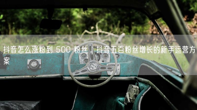 抖音怎么涨粉到 500 粉丝｜抖音五百粉丝增长的新手运营方案