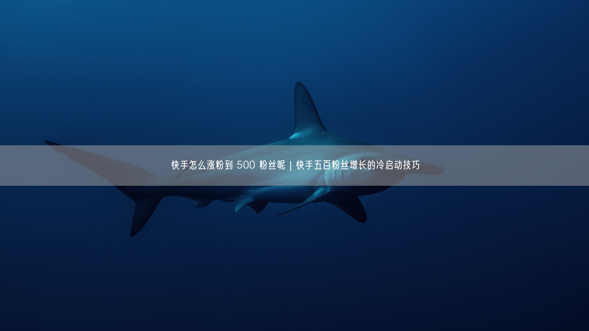 快手怎么涨粉到 500 粉丝呢｜快手五百粉丝增长的冷启动技巧