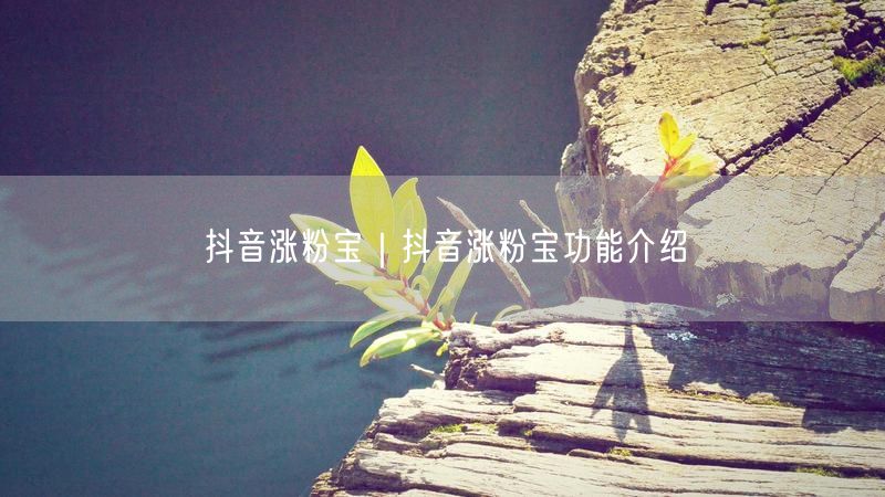 抖音涨粉宝｜抖音涨粉宝功能介绍