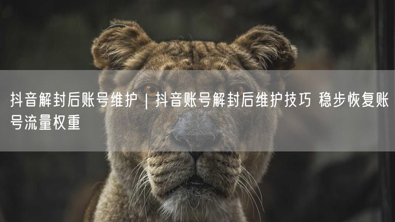 天兔网--抖音账号解封后维护技巧 稳步恢复账号流量权重